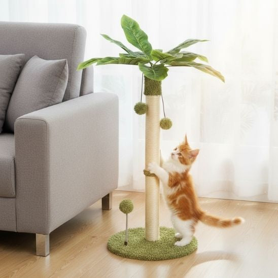 Poteau griffoir pour chat | Aventure Cocotier
