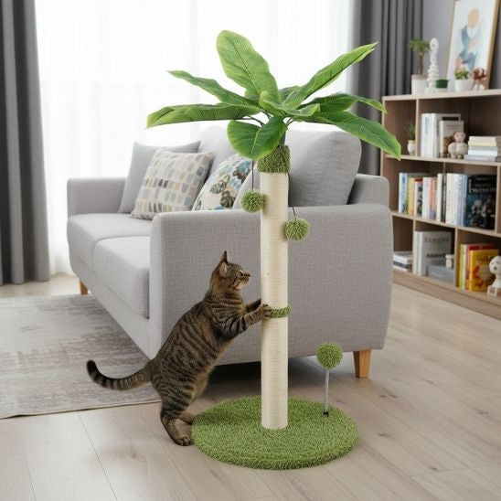 Poteau griffoir pour chat | Aventure Cocotier