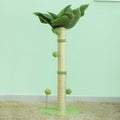 arbre a chat palmier vert clair