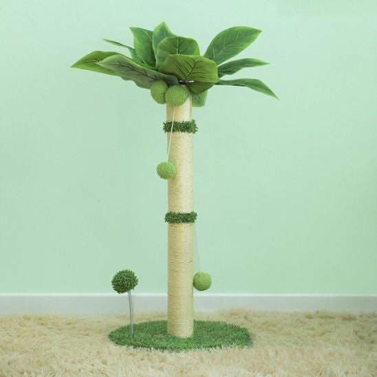 arbre a chat palmier vert foncé