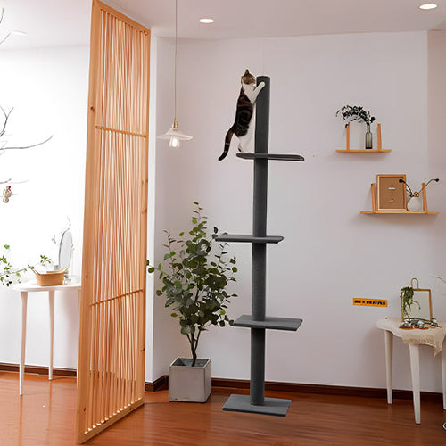 arbre a chat plafond haut