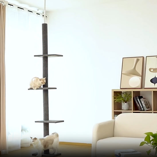 ARBRE A CHAT PLAFOND | Le Gratte Ciel du Minou