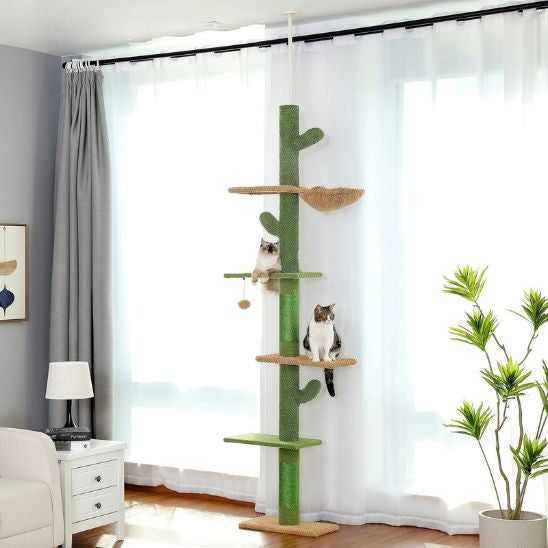 ARBRE A CHAT PLAFOND | La Cime du Cactus