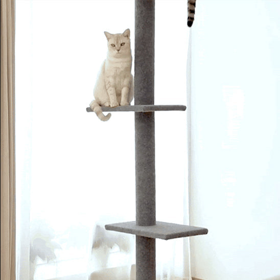 ARBRE A CHAT PLAFOND | Le Gratte Ciel du Minou