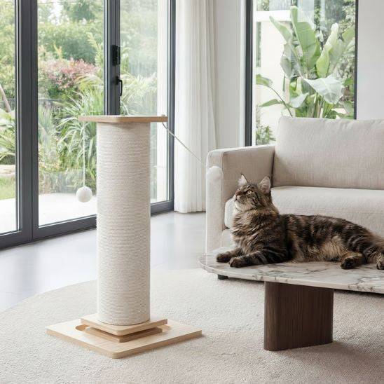 ARBRE A CHAT POTEAU | La tour à Chat Bois