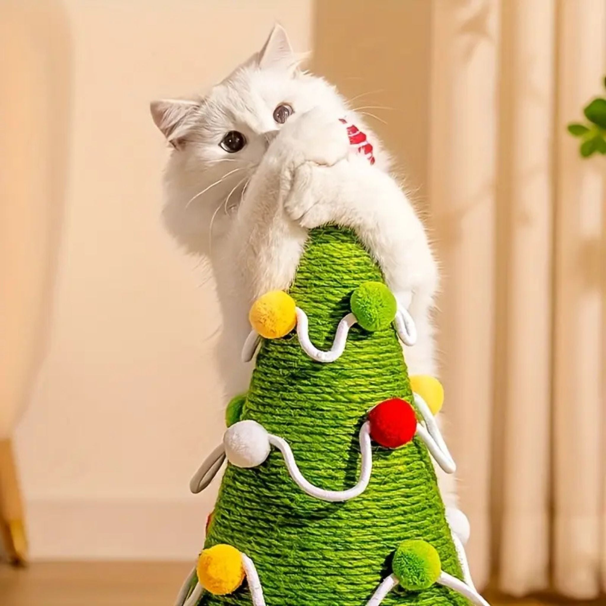 griffoir à chat | SAPIN GRIFF'