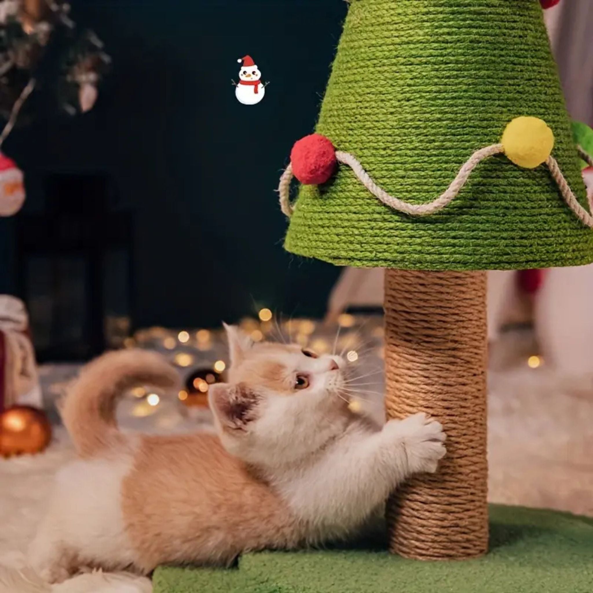 griffoir à chat | SAPIN GRIFF'