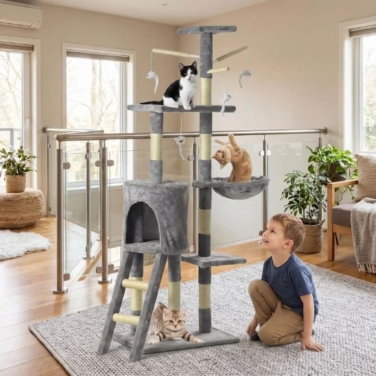 ARBRE A CHAT | L’Explorateur Vertical