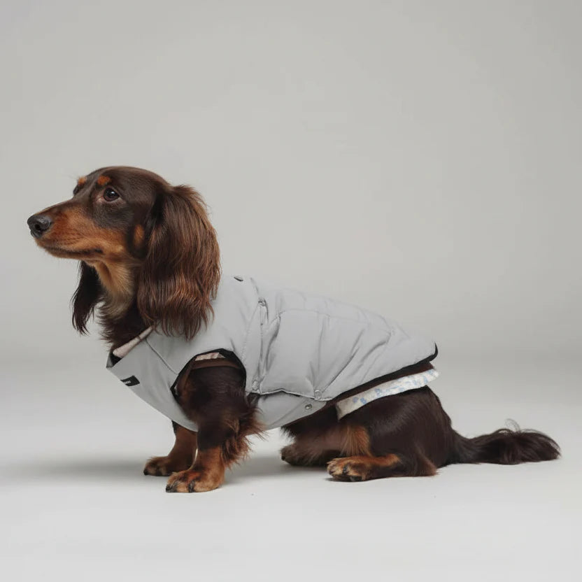 Veste Réversible San Manche Pour Chien Teckel