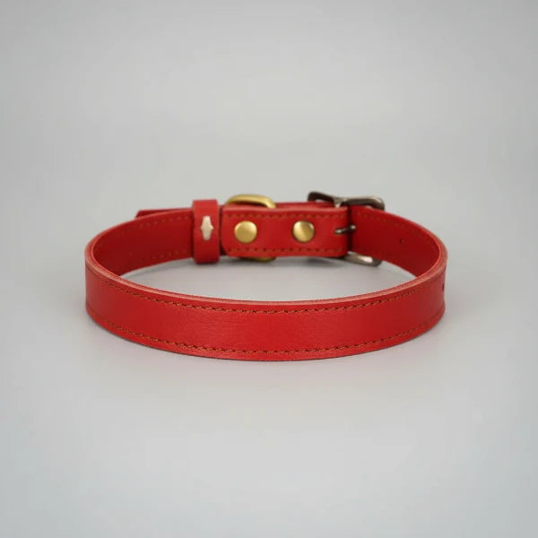 Collier cuir pour chien rouge avec boucle métal et rivets dorés par Oscar et Plume