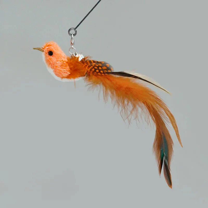 Baguette plume oiseau pour chat orange et marron avec longues plumes naturelles Oscar et Plume