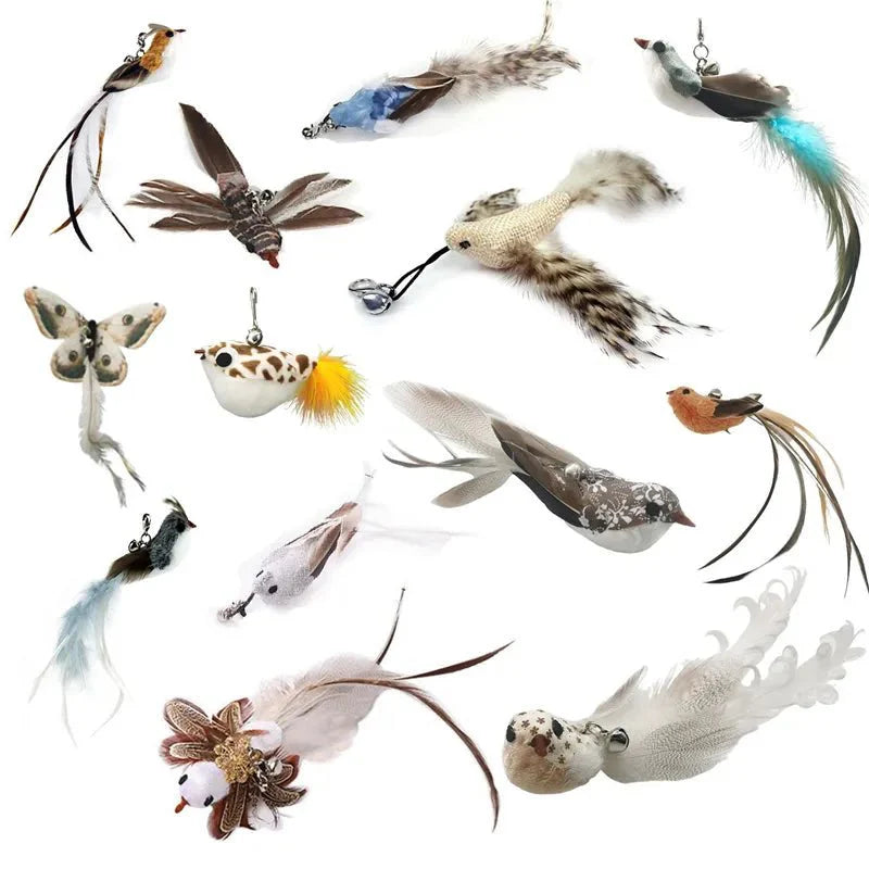 Plume Oiseau Pour Chat Jouet Naturel