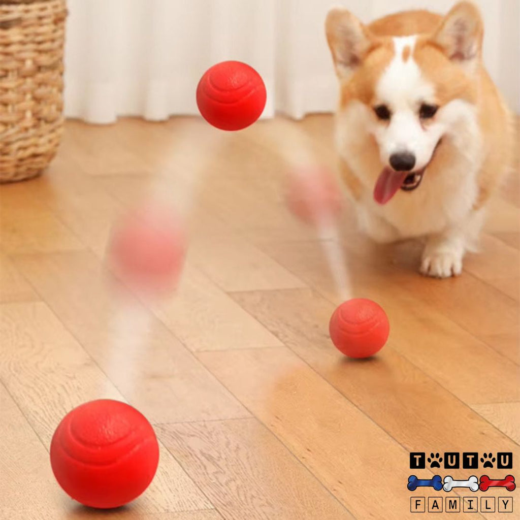 Balle chien solide Lot de 3 - InteractifToutou™