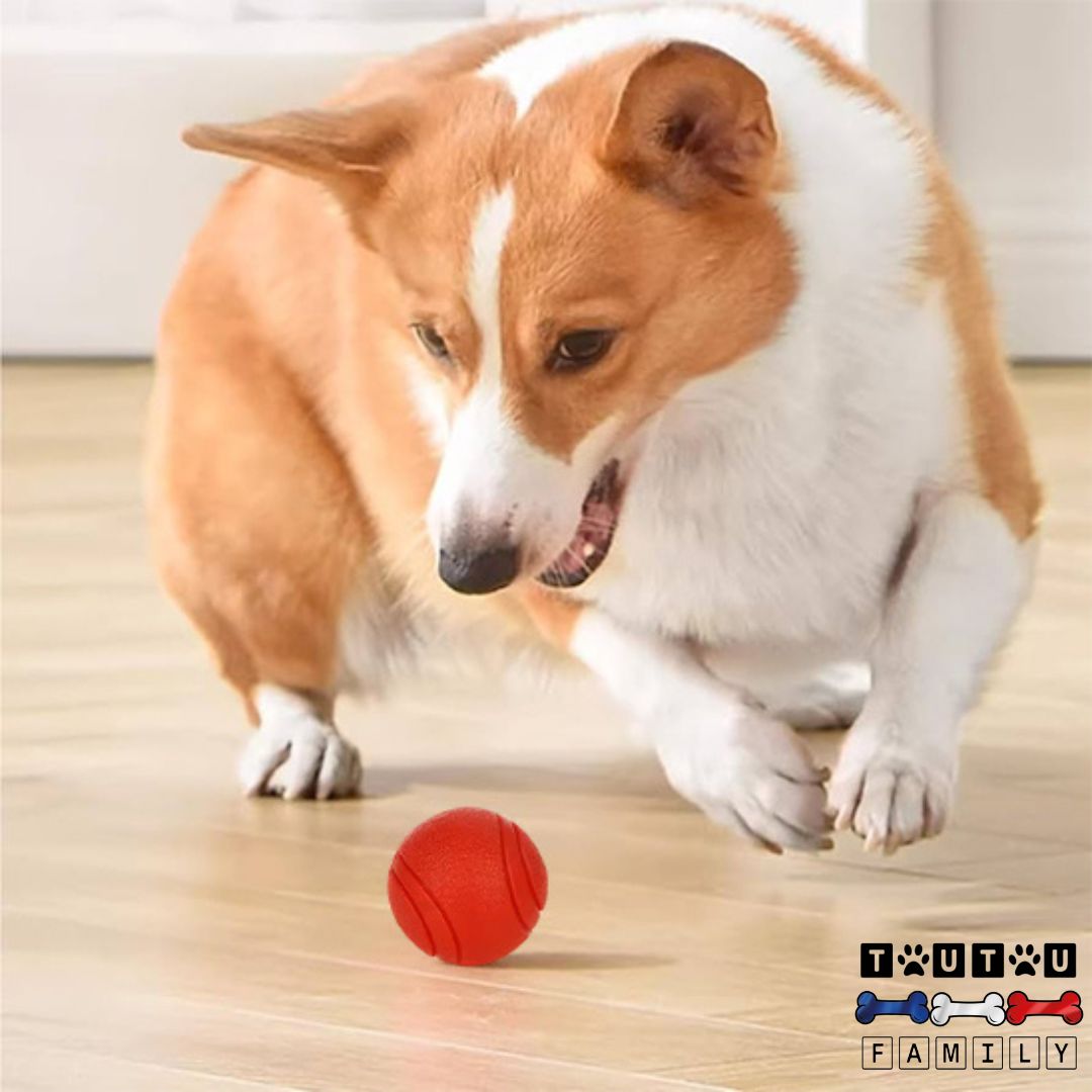 Balle chien solide Lot de 3 - InteractifToutou™