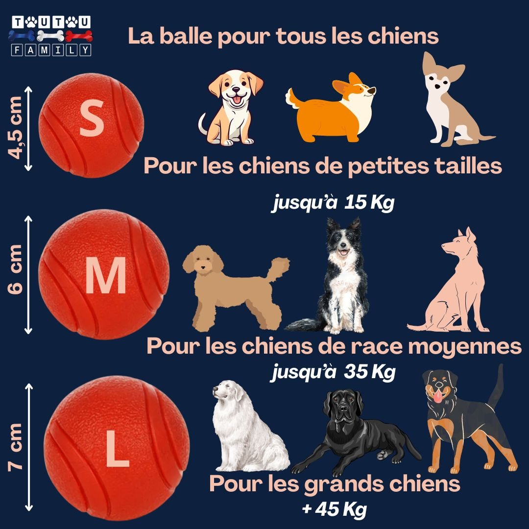 Balle chien solide Lot de 3 - InteractifToutou™