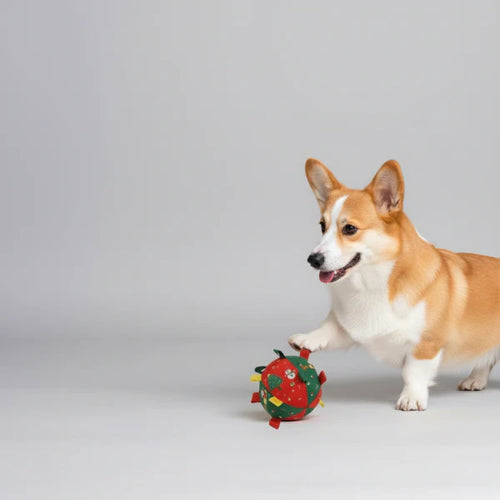Balle De Noël Pour Chien Avec Clochette Intégrée