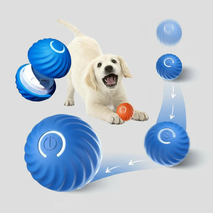 Balle Interactive Pour Chien Résistante Et Ludique
