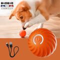 Balle-interactive-pour-chien-avec-câble-USB-orange-un-chien-qui-joue-a-attraper-la-balle-qui-bouge-toute-seule-avec-sa-patte-jouet-interactif-pour-chien