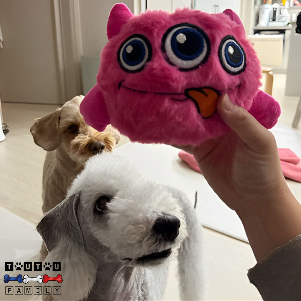 Balle interactive pour chien - PelucheToutou™