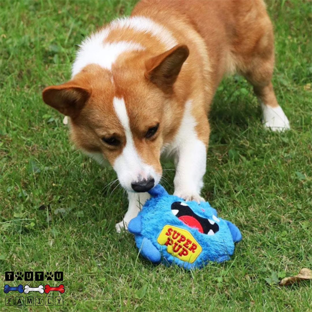 Balle interactive pour chien - PelucheToutou™