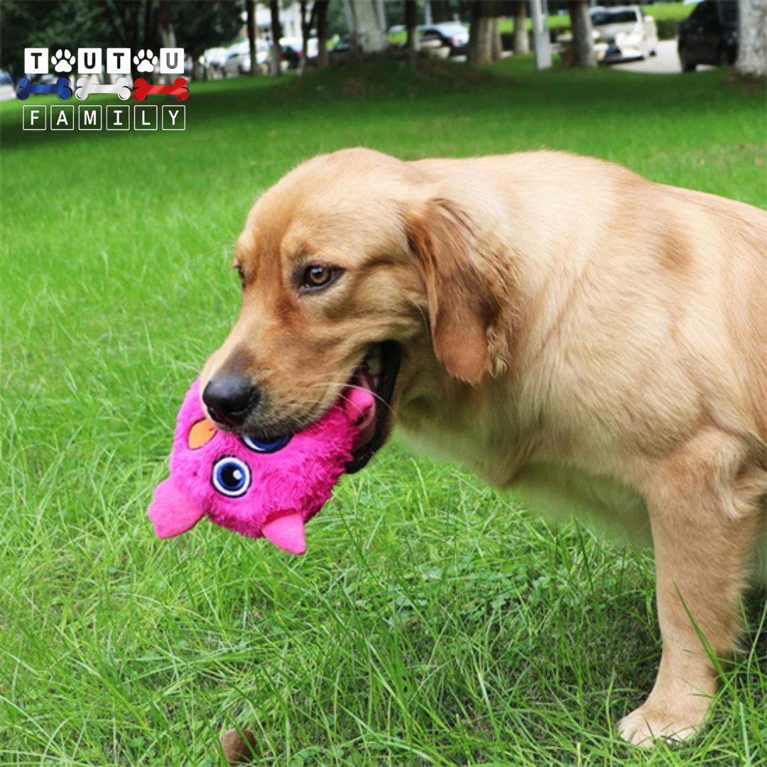 Balle interactive pour chien - PelucheToutou™