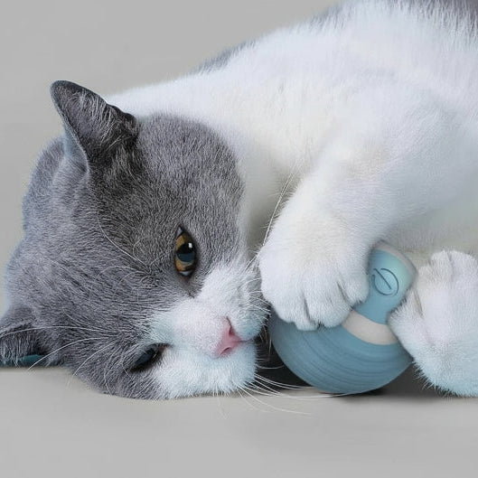 Balle Magique Pour Chat Rechargeable
