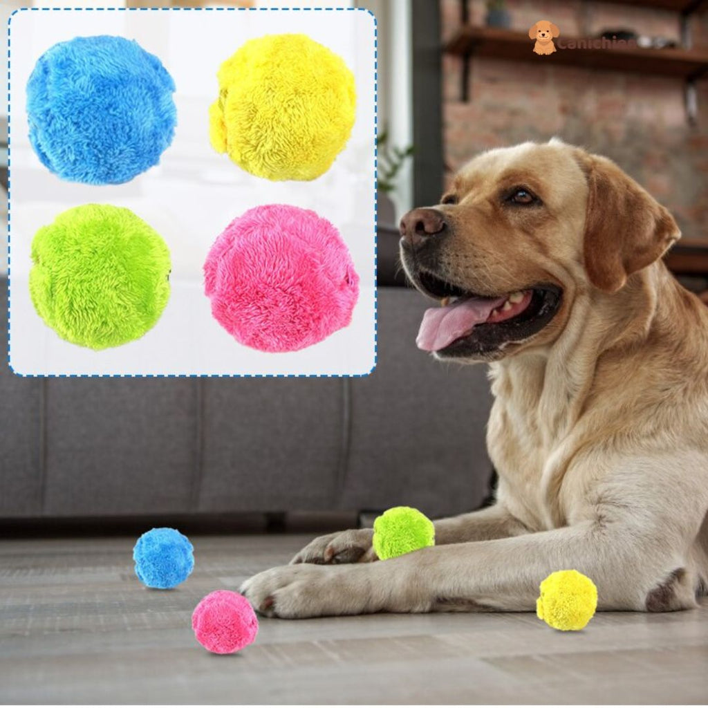 Balle pour chien interactif | WoofBall™