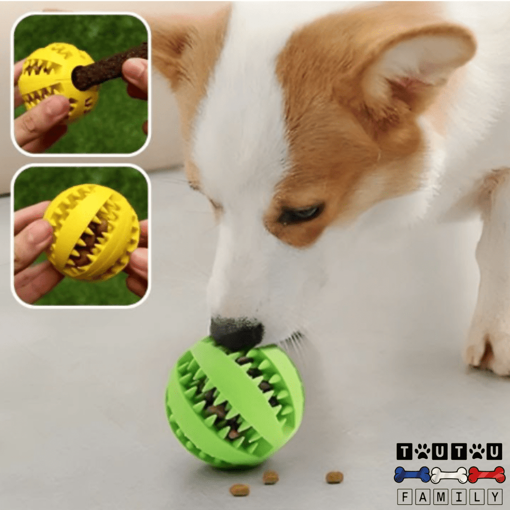 Balle pour chien à friandise - GoûteToutou™