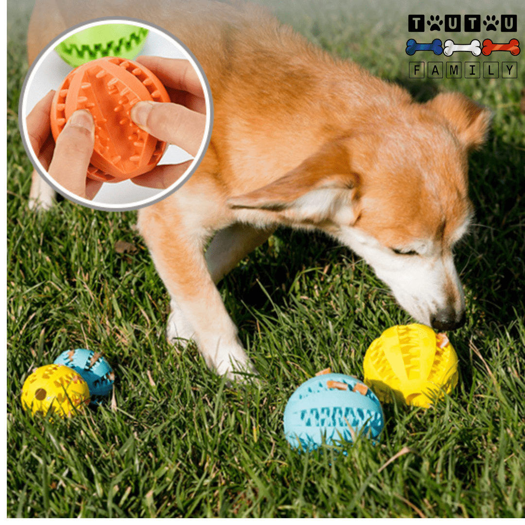 Balle pour chien à friandise - GoûteToutou™