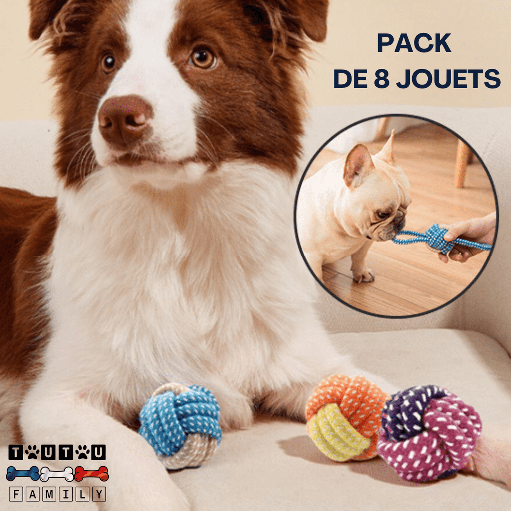 Balle pour chien avec corde et à mâcher (Pack de 8) - DentToutou™