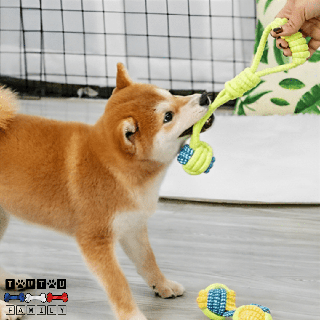 Balle pour chien avec corde et à mâcher (Pack de 8) - DentToutou™