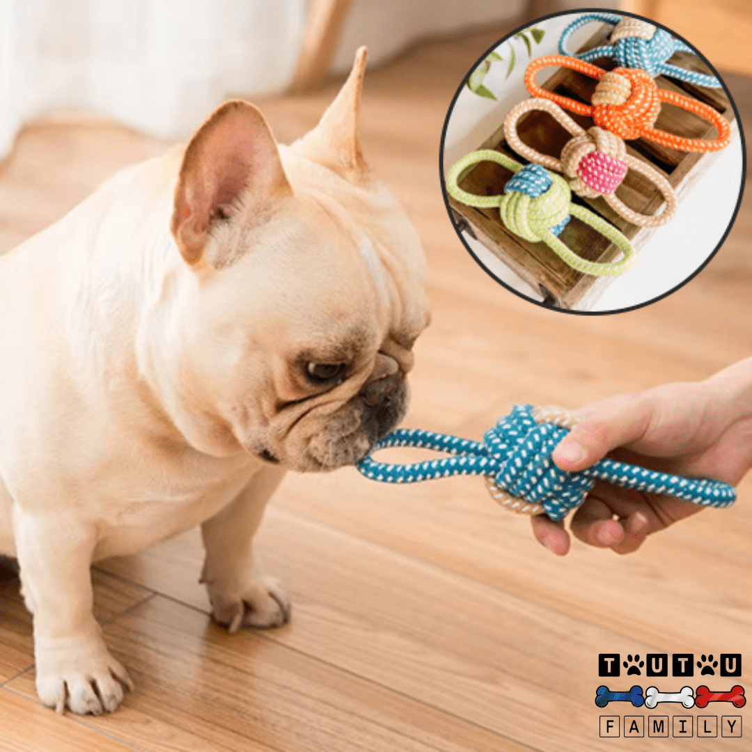 Balle pour chien avec corde et à mâcher (Pack de 8) - DentToutou™