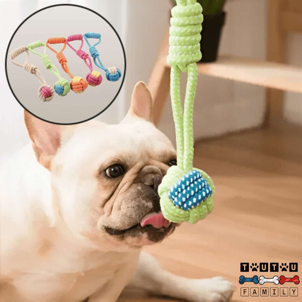 Balle pour chien avec corde et à mâcher (Pack de 8) - DentToutou™