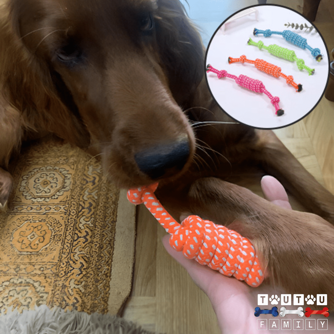 Balle pour chien avec corde et à mâcher (Pack de 8) - DentToutou™