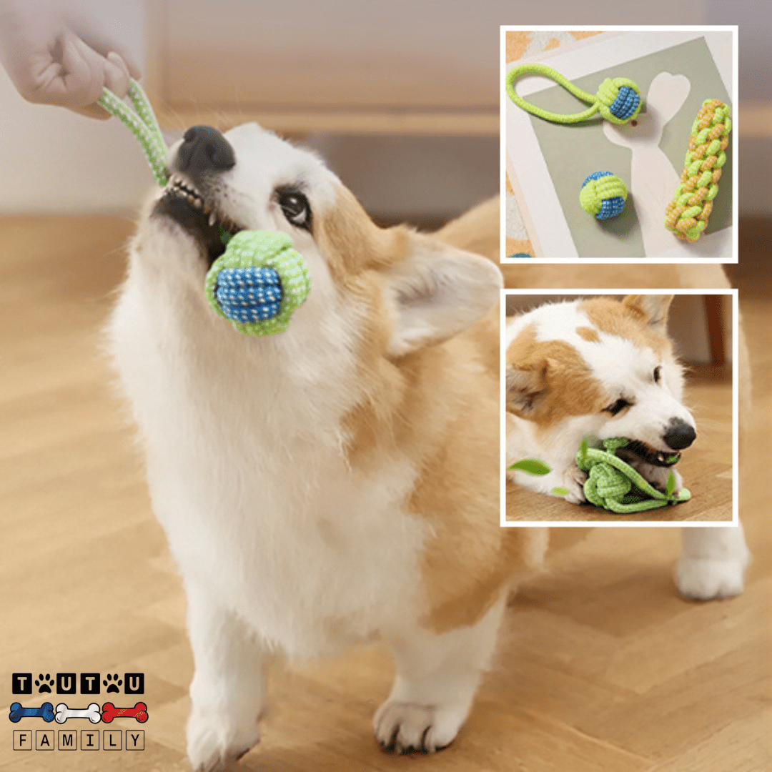 Balle pour chien avec corde  (Lot de 4 ou 7) - MâcheToutou™