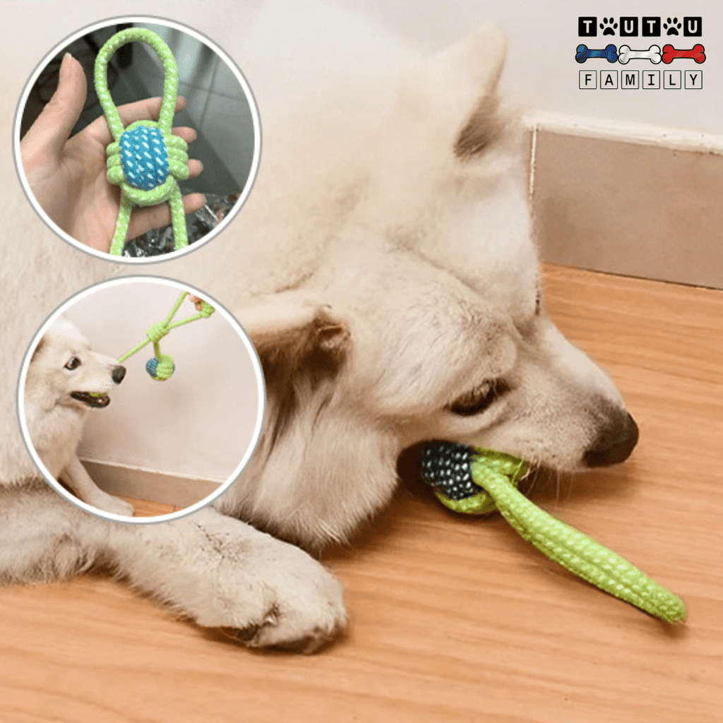 Balle pour chien avec corde  (Lot de 4 ou 7) - MâcheToutou™