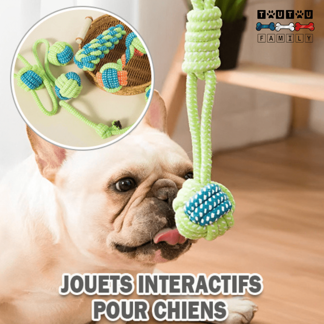 Balle pour chien avec corde  (Lot de 4 ou 7) - MâcheToutou™