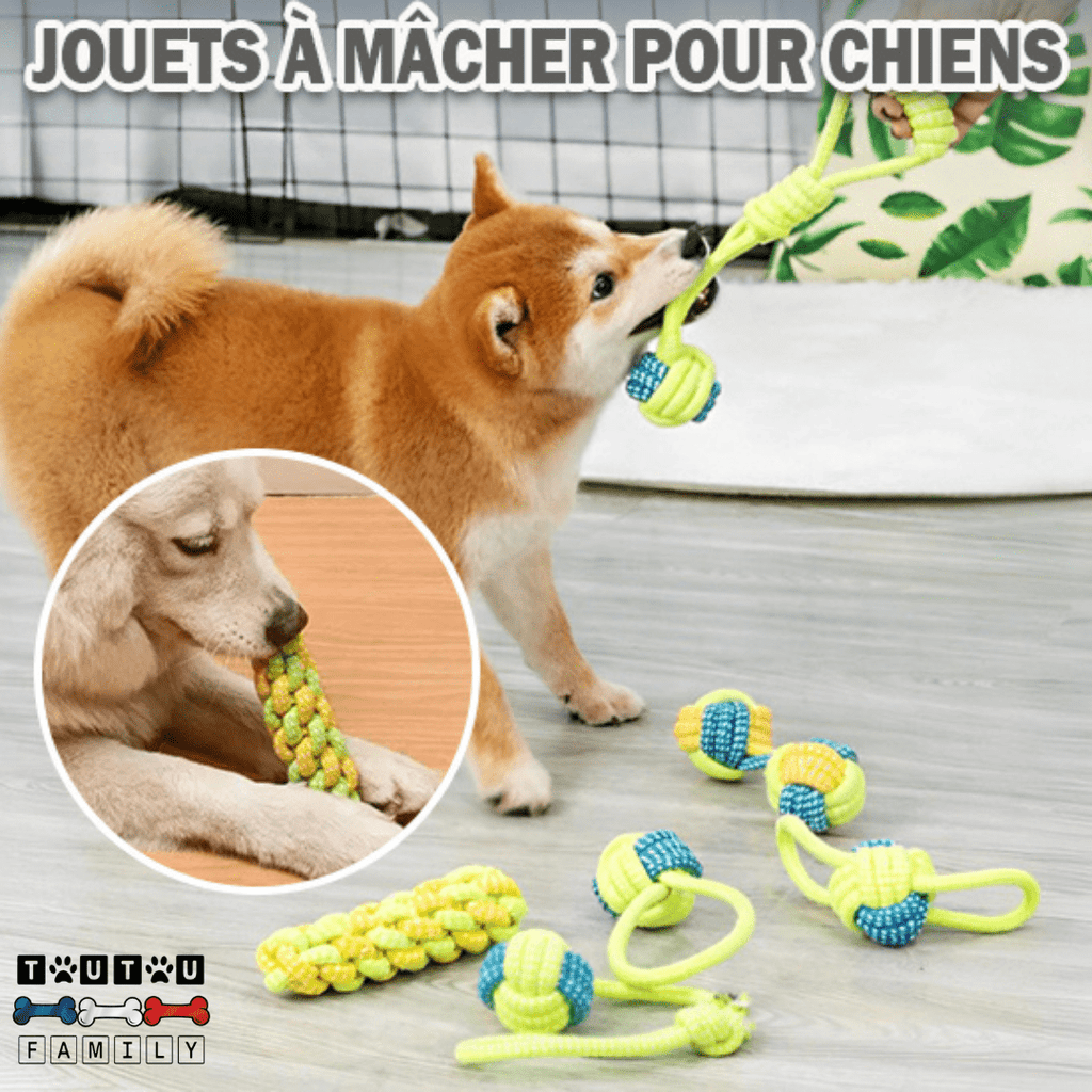 Balle pour chien avec corde  (Lot de 4 ou 7) - MâcheToutou™