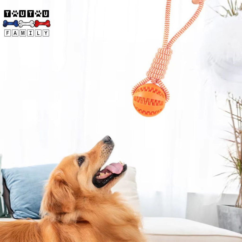 Balle pour chien avec corde - OccupeToutou™
