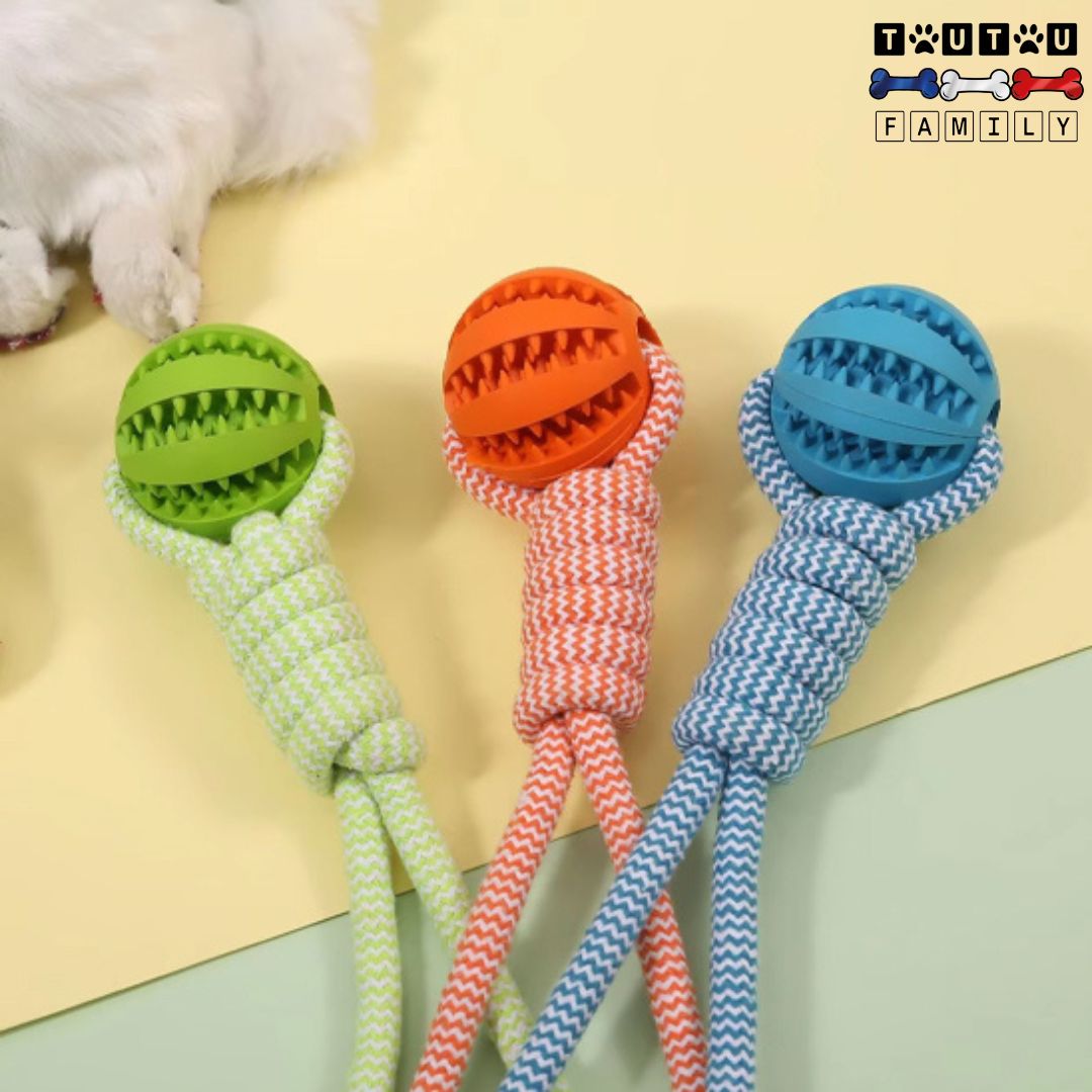 Balle pour chien avec corde - OccupeToutou™