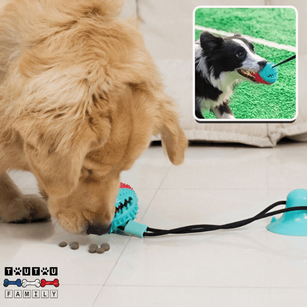 Balle pour chien avec ventouse - TireToutou™