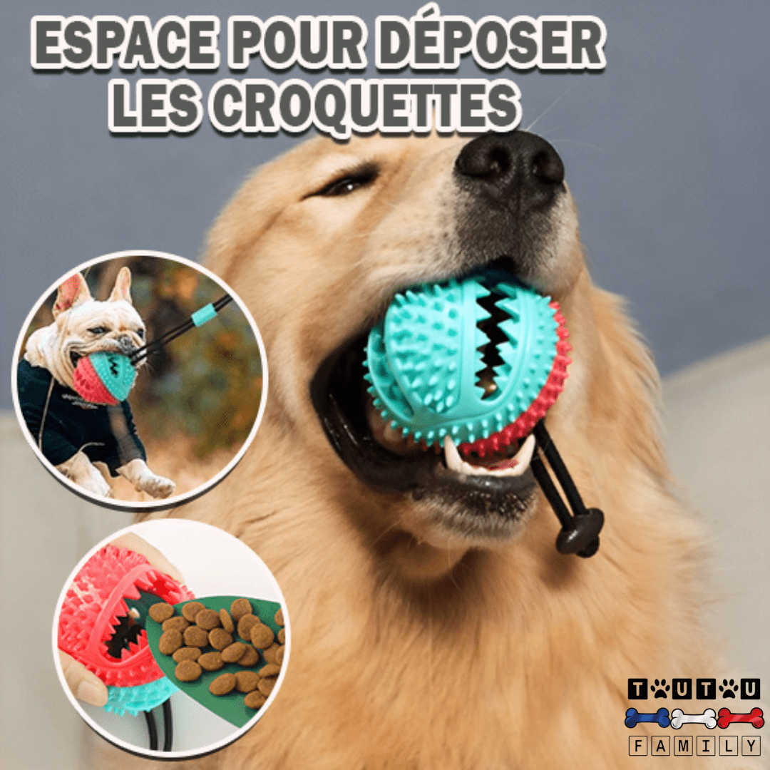 Balle pour chien avec ventouse - TireToutou™