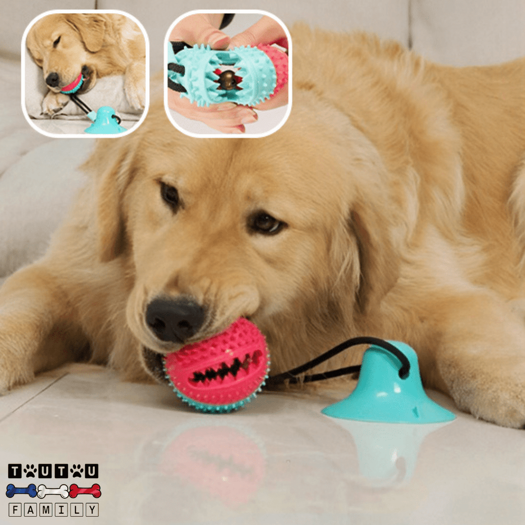 Balle pour chien avec ventouse - TireToutou™