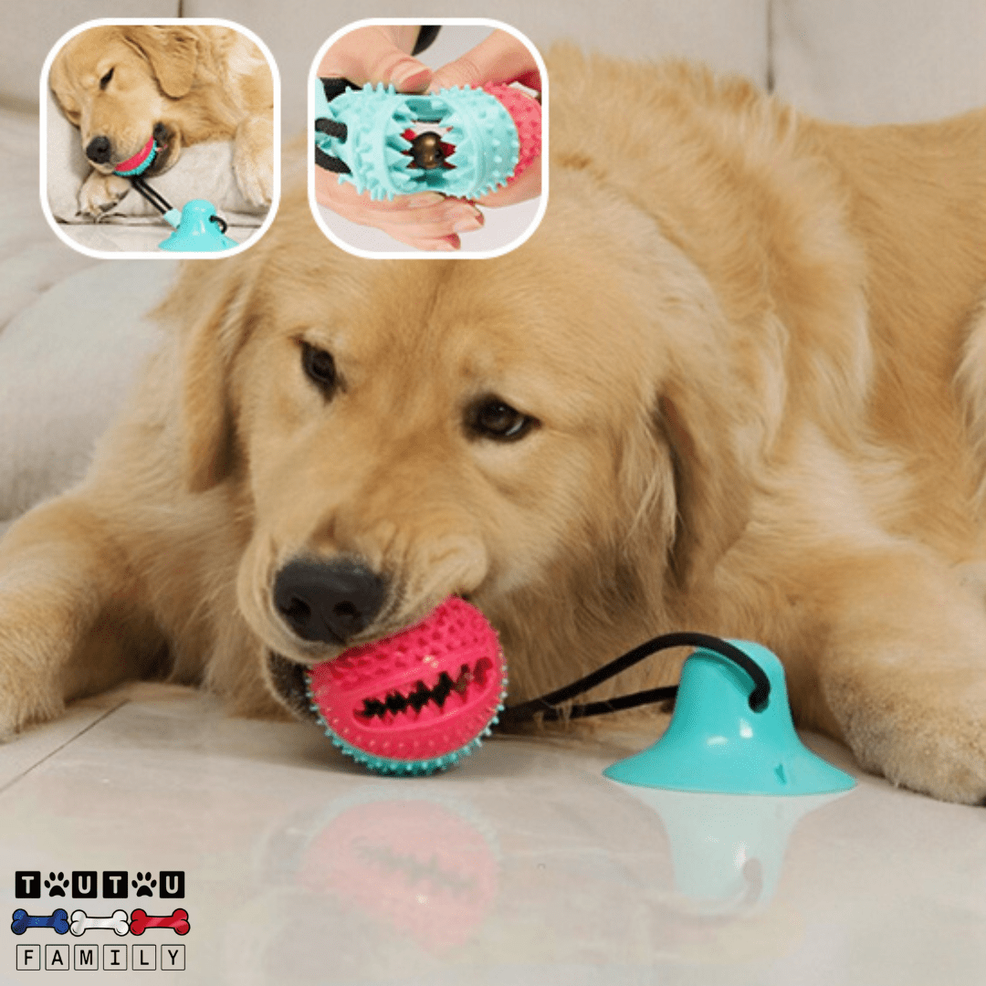 Balle pour chien avec ventouse - TireToutou™