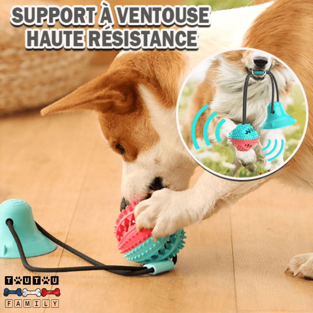 Balle pour chien avec ventouse - TireToutou™