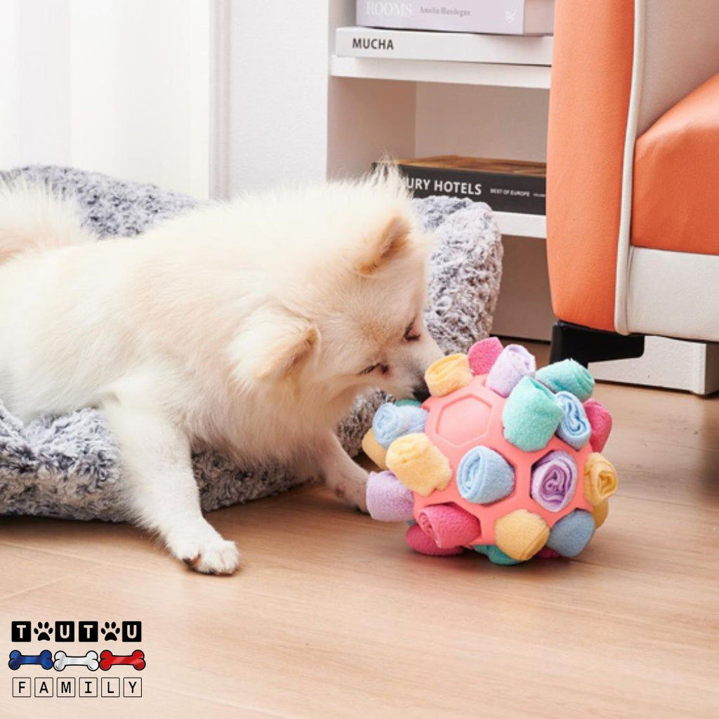 Balle pour chien de fouille - PifToutou™