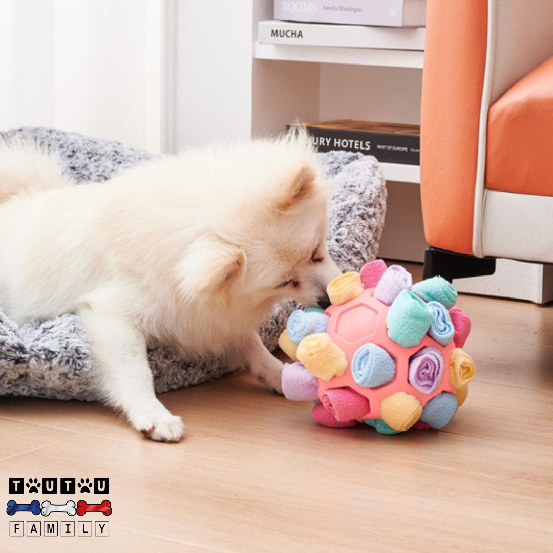 Balle pour chien de fouille - PifToutou™