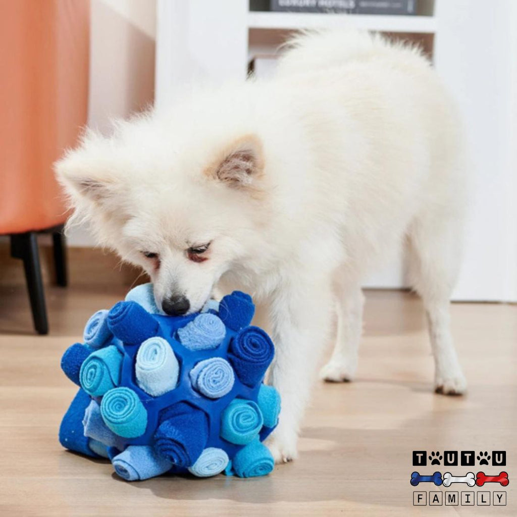Balle pour chien de fouille - PifToutou™