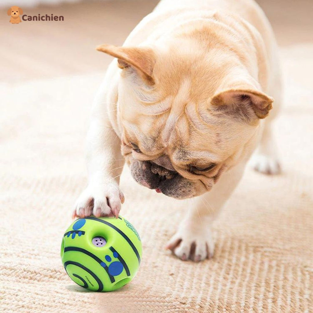 La balle pour chien | PupPlay™