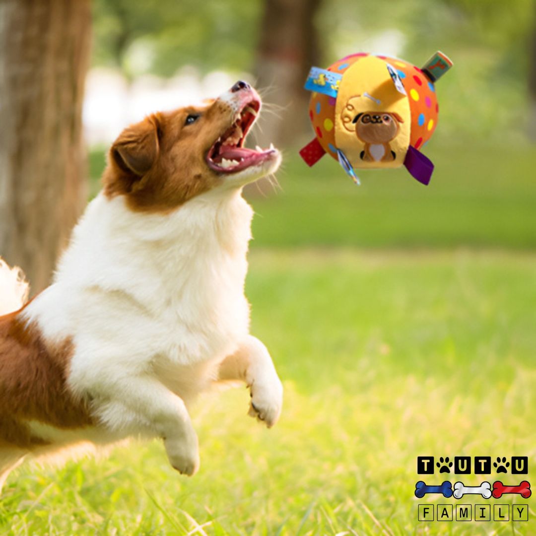 Balle pour chien en peluche - AttrapeToutou™